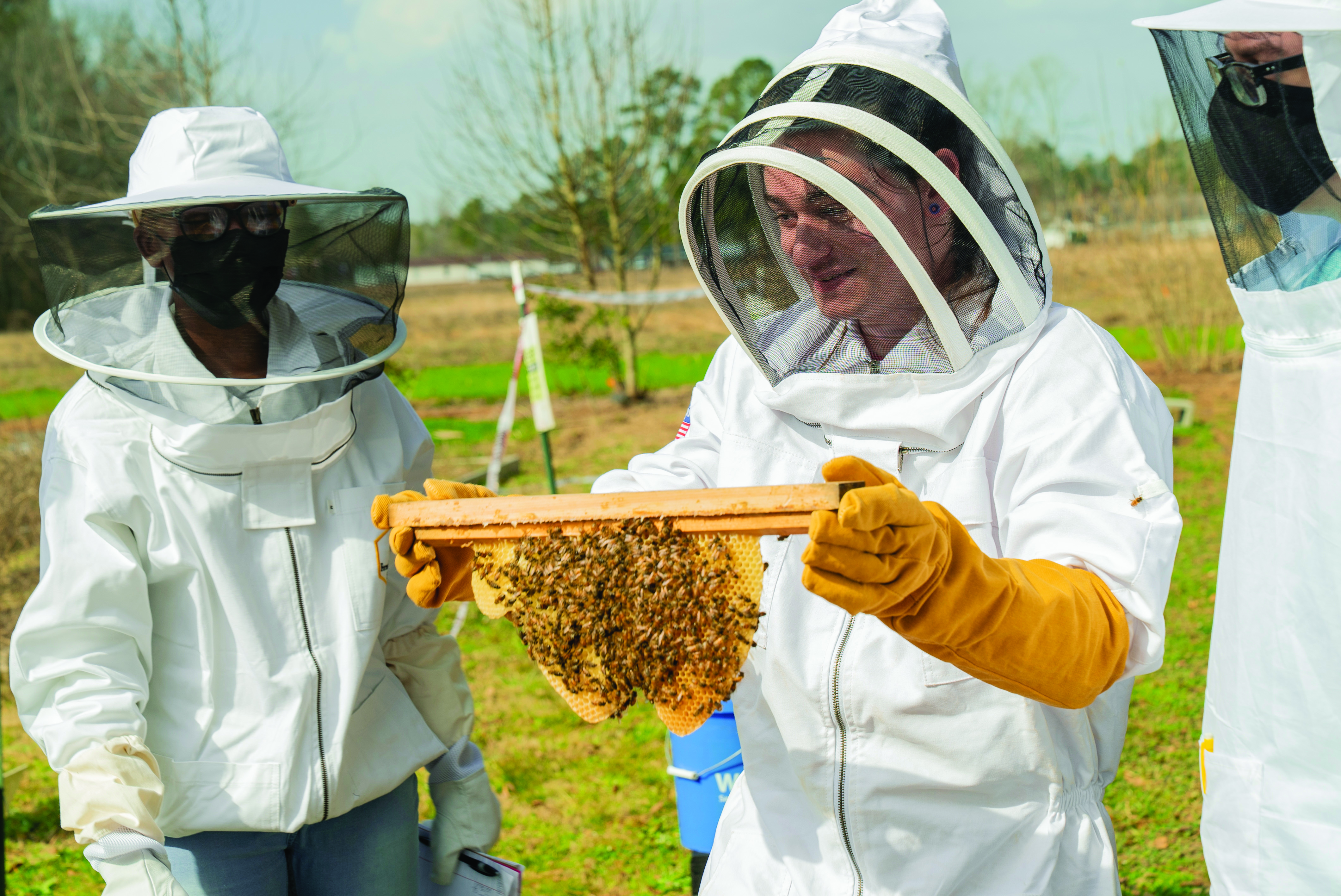 UNCP agriculture students in protective bee suits work with a hive during an apiary class, representing pollinator health and beekeeping studies.