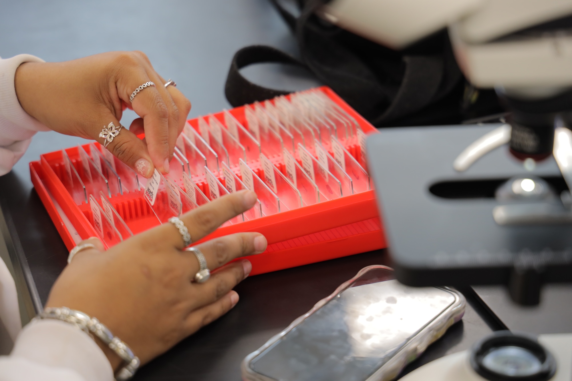 UNCP student looking at biology samples