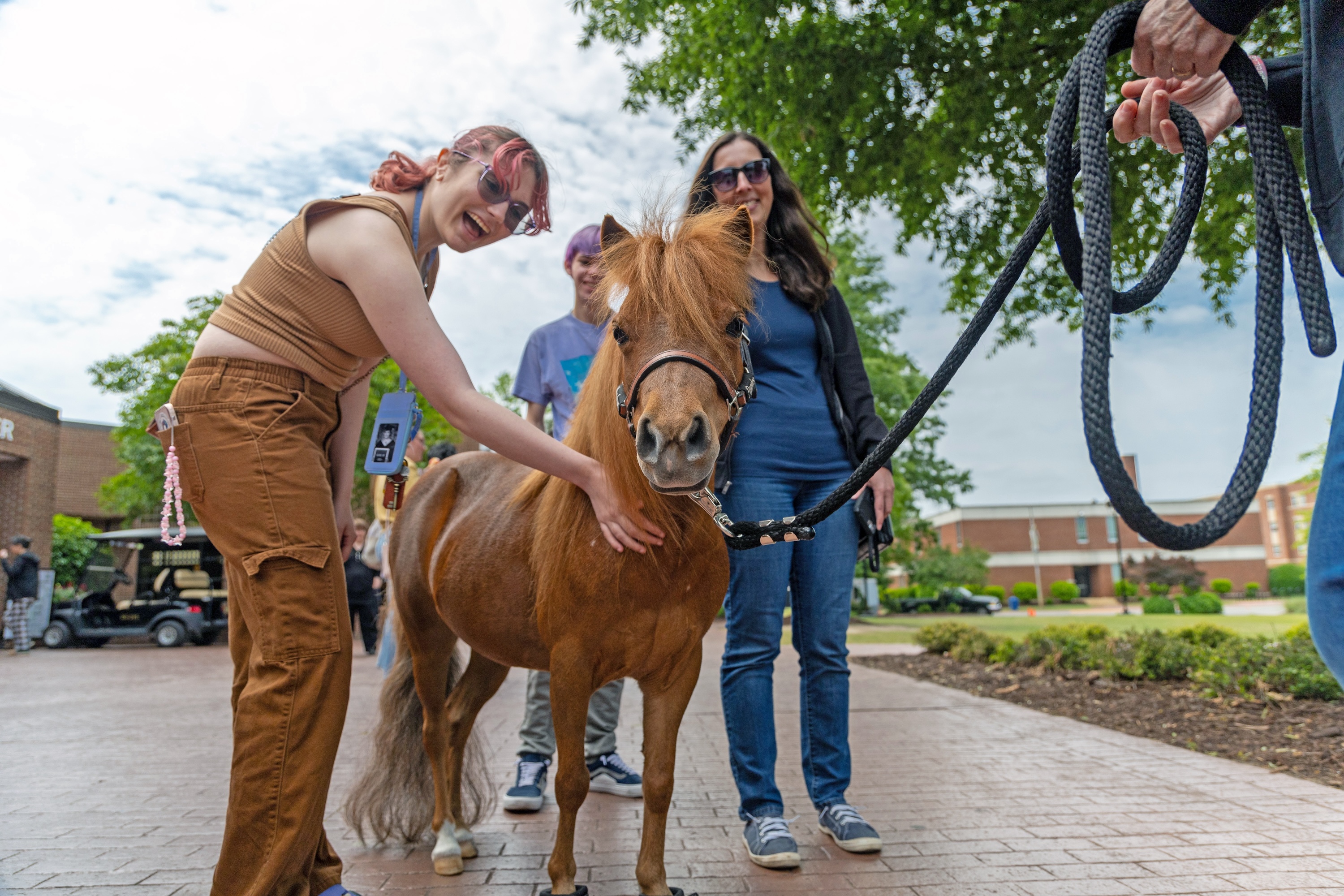 Destress fest UNCP with donkeys