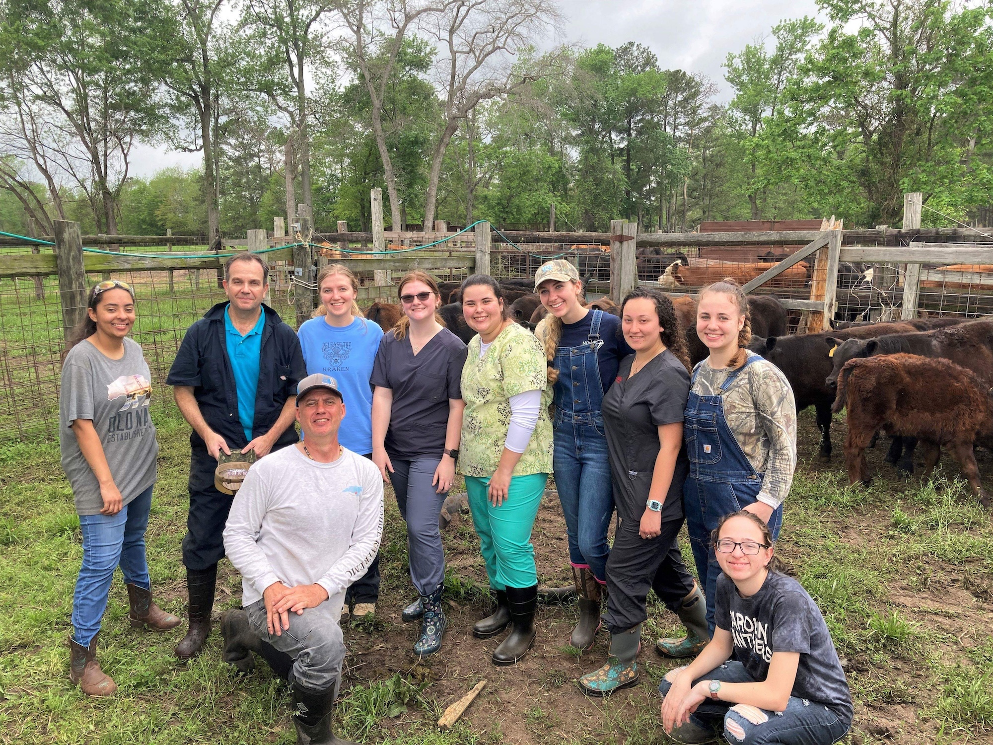Pereira undergraduate research team with cows