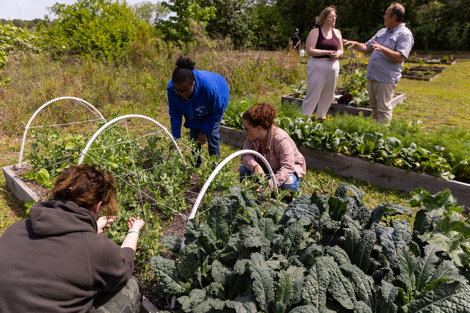 students looks at plants in garden