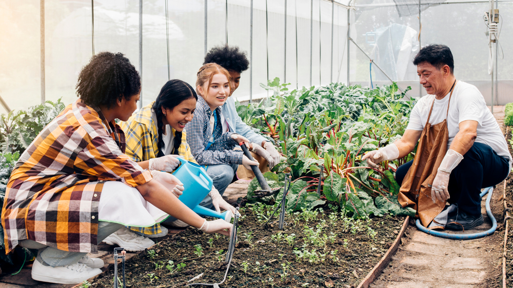 teens volunteering in a greenhouse