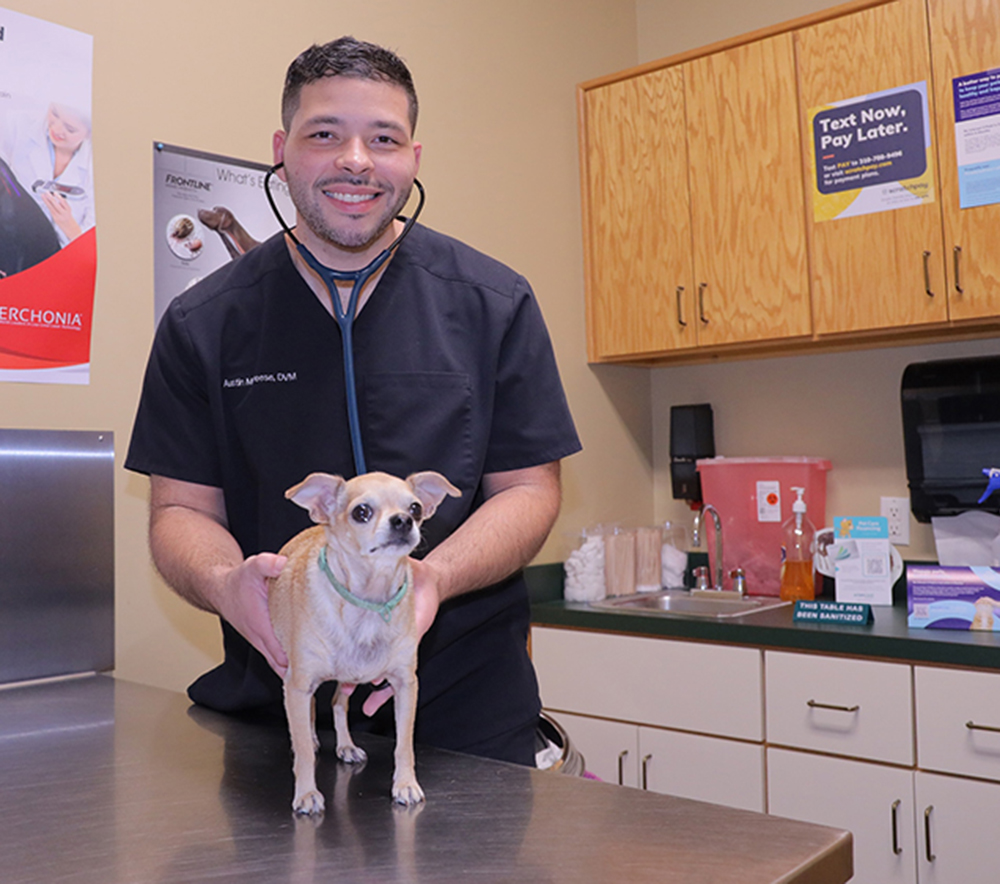 Veterinarian Austin Deese with small dog on exam table