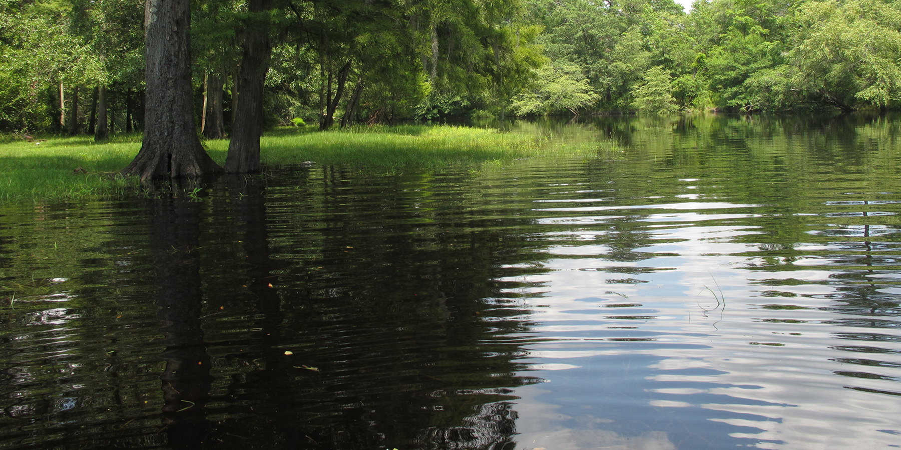 An image of the Lumber River
