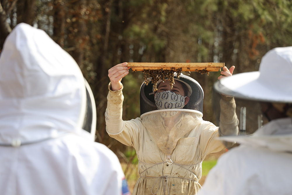 UNCP student with honey bee