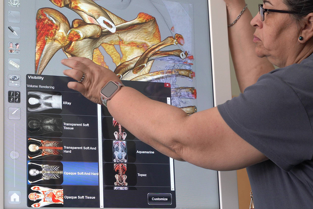 Staff person working a virtual disection on an Anatomage table at UNC Pembroke.