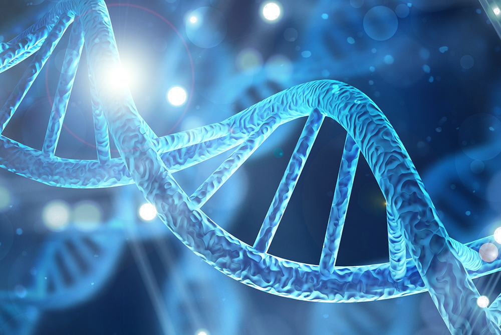 A vibrant photograph featuring biological specimens and laboratory research setups that emphasize UNCP’s focus on advancing biological science