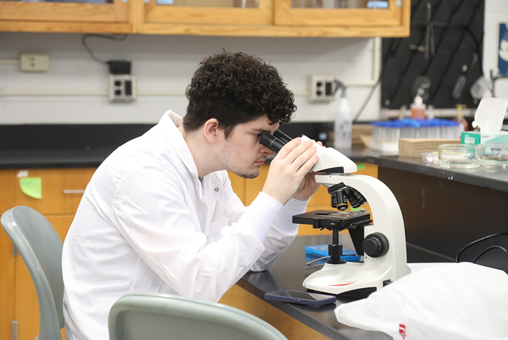 UNCP Biology student looking in microscope