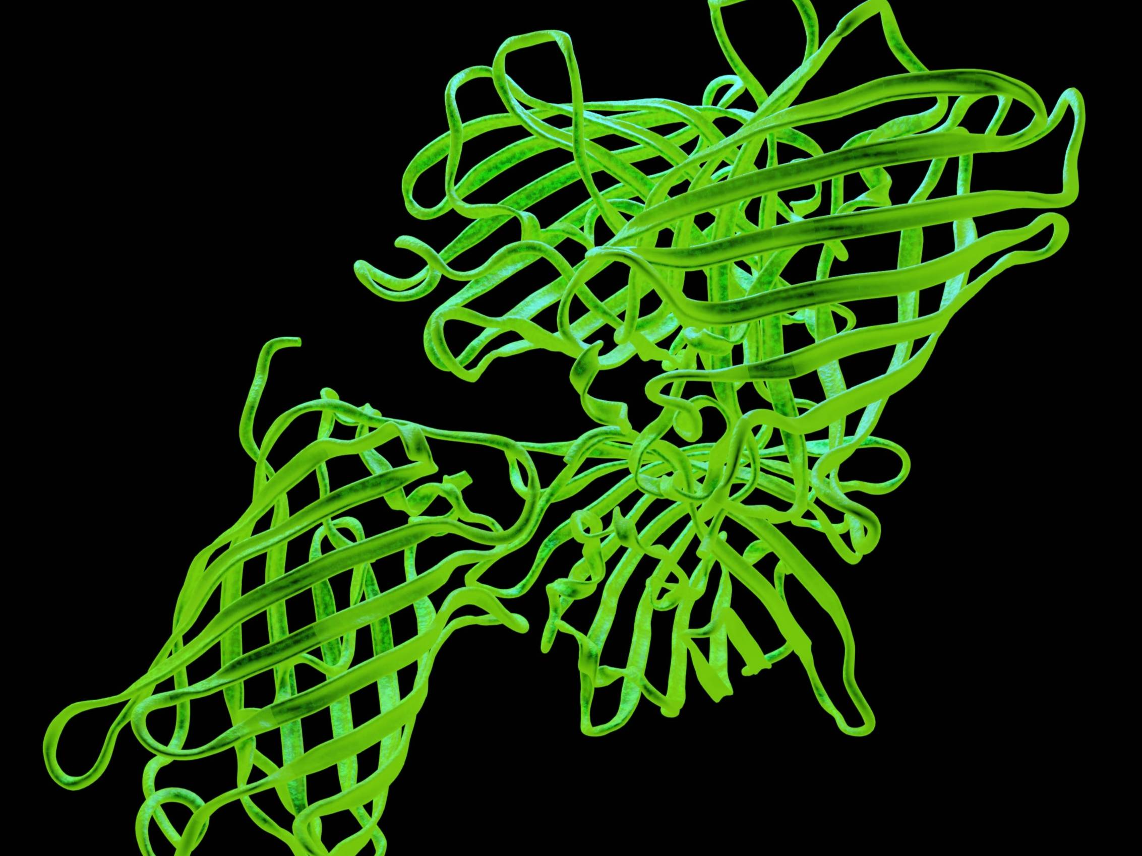 GFP