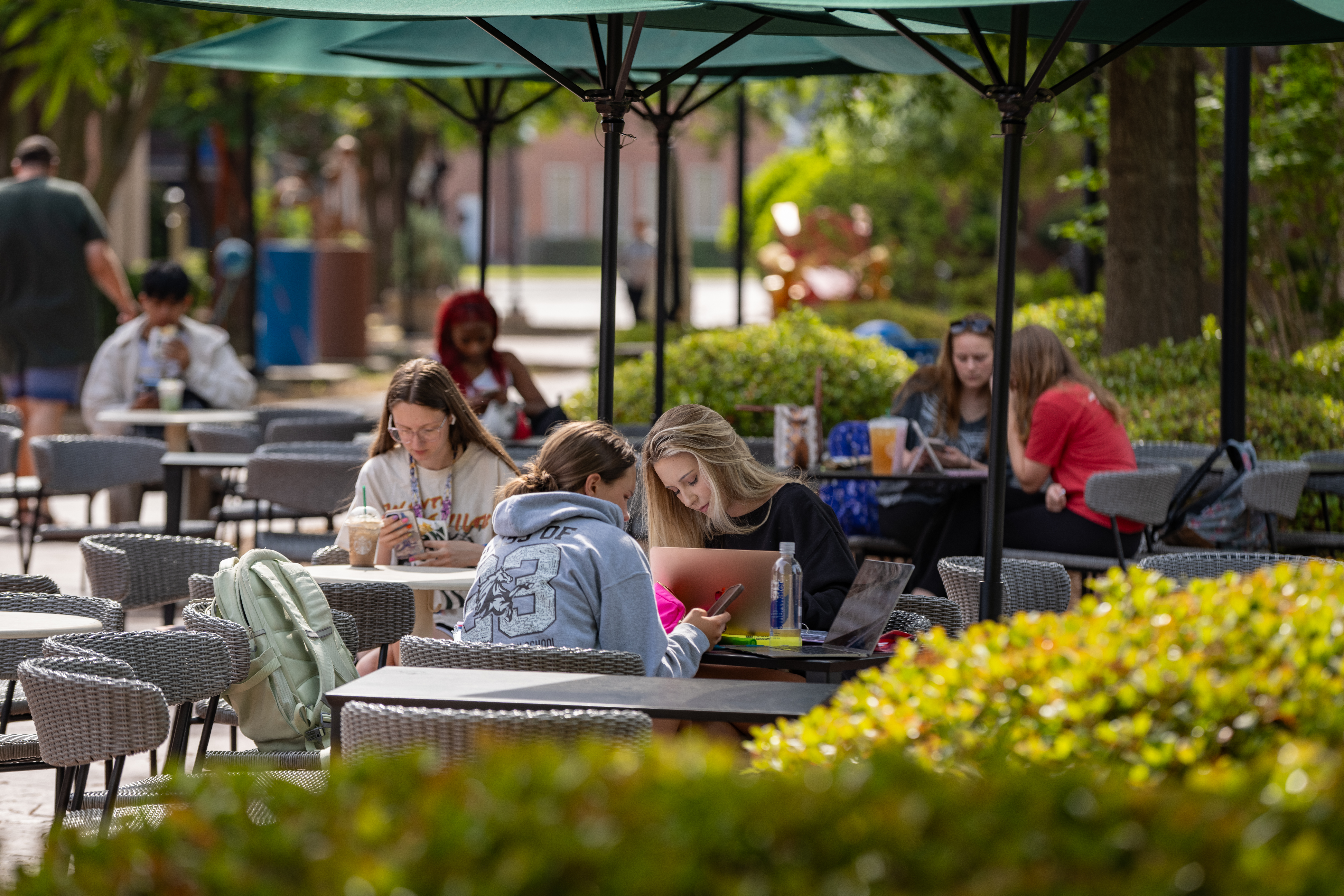 Students studying on campus near the Transfer and Commuter Center