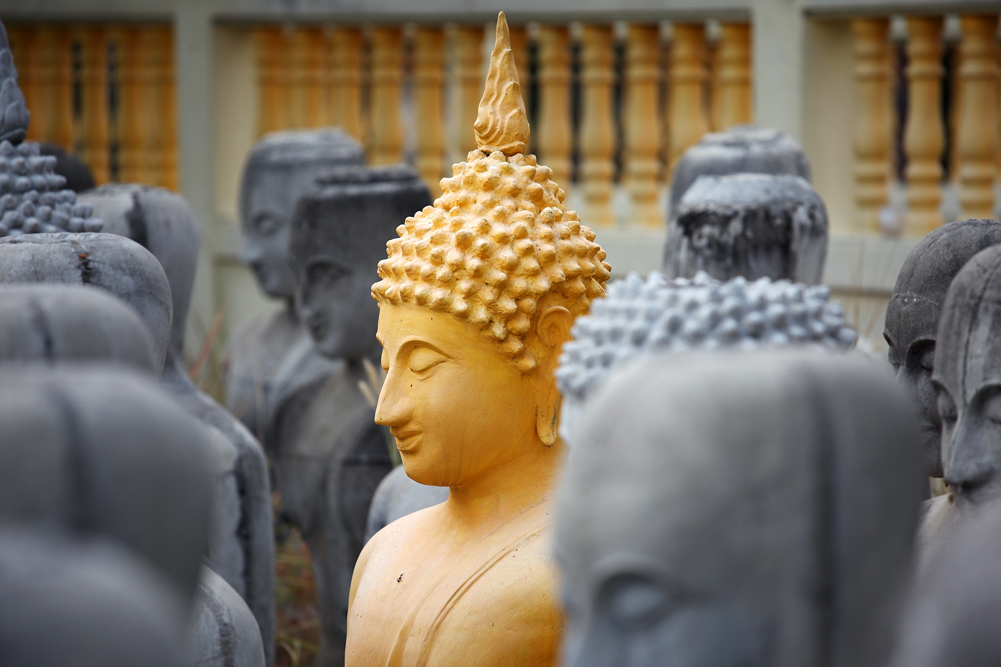 golden statues